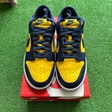 Nike Michigan Low Dunk Size 8
