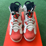 Jordan Gatorade 6s Size 11