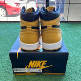 Jordan Pollen 1s Size 12