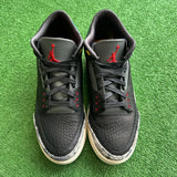 Jordan Animal Instinct 3s Size 9.5