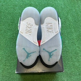 Jordan Grape 5s Size 9.5