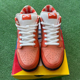 Nike Orange Lobster SB Low Dunk Size 10