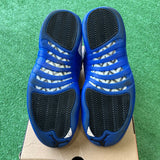 Jordan Blueberry 12s Size 9