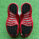 Jordan Cherry 12s Size 10.5