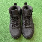 Jordan Winterized 12s Size 8.5