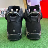 Jordan Chrome 6s Size 8