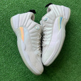 Jordan Easter Low 12s Size 11.5