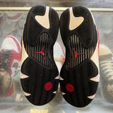 Jordan Toro 14s Size 9.5