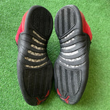 Jordan Reverse Flu Game 12s Size 11.5