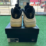 Nike LT.Orewood Foamposite Size 11