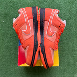 Nike Orange Lobster SB Low Dunks Size 13