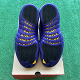 Jordan Field Purple 12s Size 11