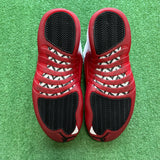 Jordan Cherry 12s Size 10