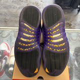Jordan Field Purple 12s Size 14