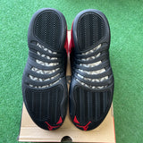 Jordan Reverse Flu Game 12s Size 11.5