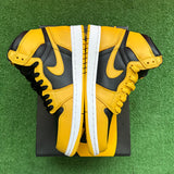 Jordan Pollen 1s Size 8