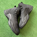 Jordan Winterized 12s Size 8.5