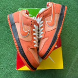 Nike Orange Lobster SB Low Dunk Size 10