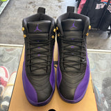 Jordan Field Purple 12s Size 14