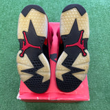 Jordan Toro 6s Size 9