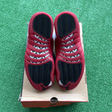 Jordan Cherry 12s Size 9.5