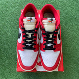 Nike Chicago Split Low Dunks Size 13