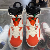 Jordan Gatorade 6s Size 9