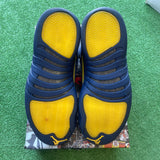 Jordan Michigan 12s Size 9.5
