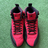 Jordan Reverse Flu Game 12s Size 9