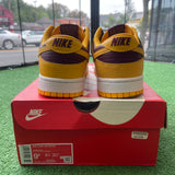 Nike Arizona State Low Dunks Size 9.5