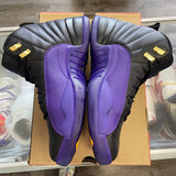 Jordan Field Purple 12s Size 10