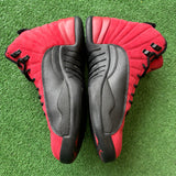 Jordan Reverse Flu Game 12s Size 9