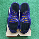 Jordan Field Purple 12s Size 13