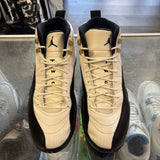 Jordan Taxi 12s Size 11