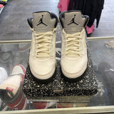 Jordan Reverse Metallic 5s Size 8.5