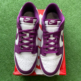 Nike White Viotech Low Dunks Size 13