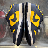 Nike Michigan Low Dunks Size 6Y