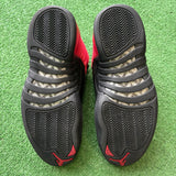 Jordan Reverse Flu Game 12s Size 9