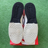 Nike Chicago Split Low Dunks Size 13