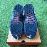 Jordan French Blue 12s Size 8.5