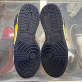 Nike Michigan Low Dunks Size 6Y