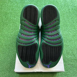 Jordan Buck 12s Size 12